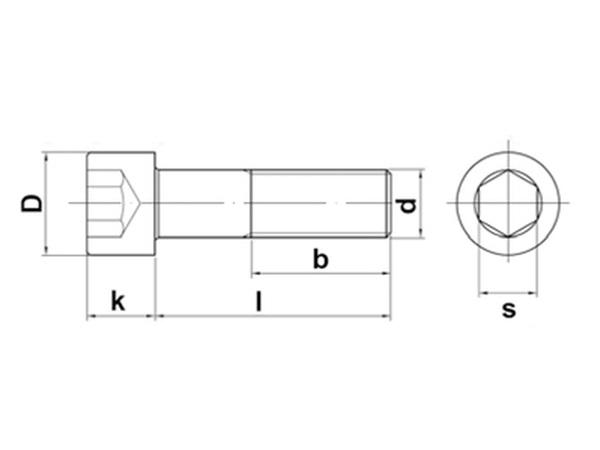 Socket Head Cap Screws
