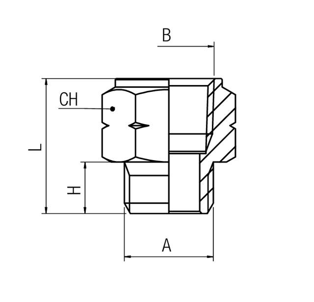 Adaptor Nipple NPT - BSPP